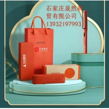 凌美lamy鋼筆新款磨砂綠橙禮盒套裝德國正品狩獵者”，顏色分類（磨砂橙墨水套盒）