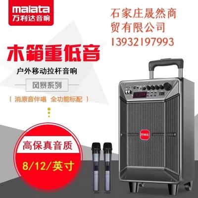 萬利達(dá)拉桿音箱